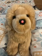 Bella-Rose review photo