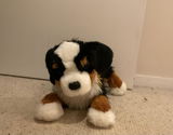 Matilda and koda review photo