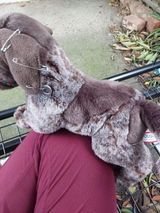 Anonymous review photo