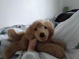 Anonymous review photo