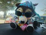 Skywingsun review photo