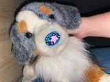 Shianne review photo