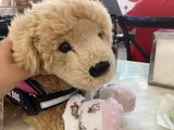 Roshaaaaaaa’s Essa’s review photo