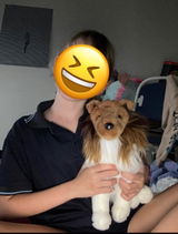 Toffee and Toby the working pups! review photo