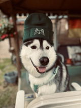 Jacky review photo