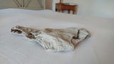 Yvan L. review photo