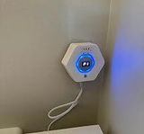 Aly H review photo