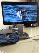 XktBlue review photo