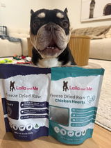 Pabz the Frenchie review photo