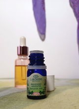 Vesna H. review photo