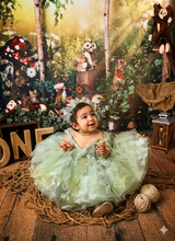 ailin asadinezhad review photo