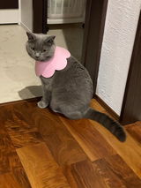 購入者さん review photo