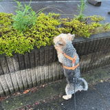 またお5815さん review photo
