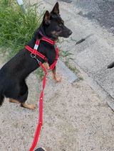 Otomo9335さん review photo