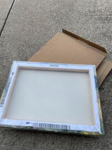 A.P. review photo