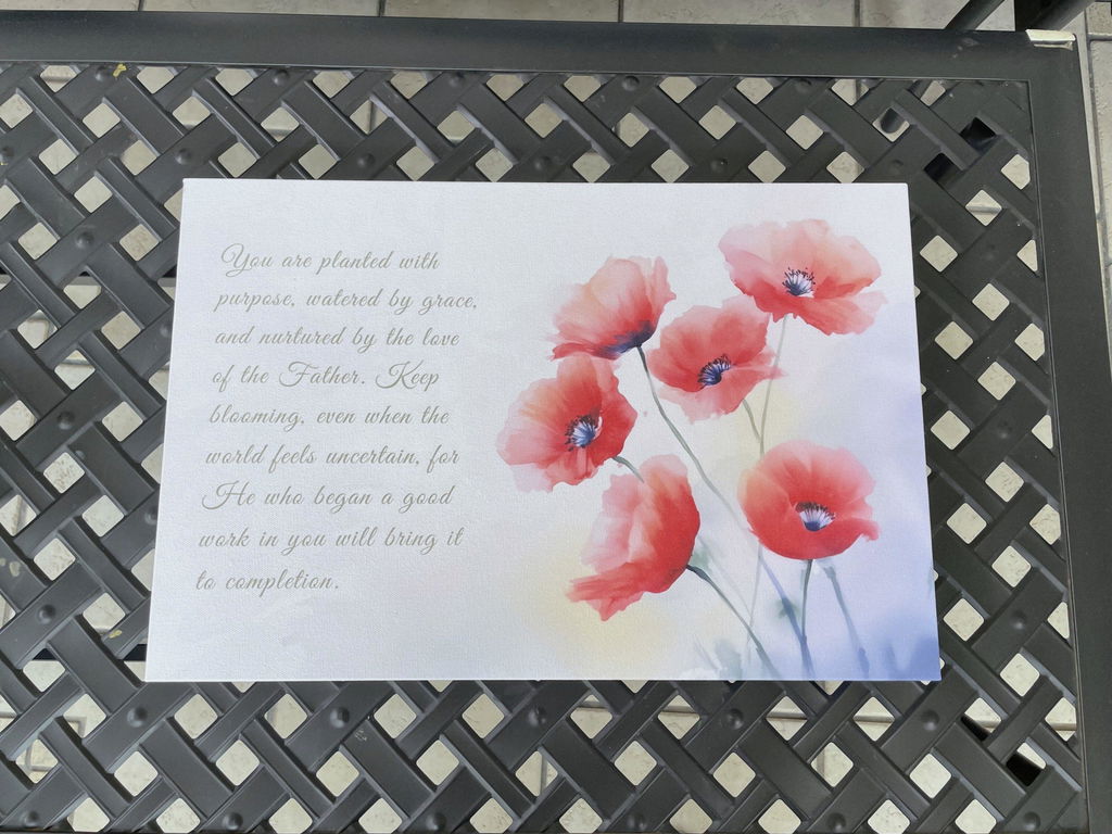 He Who Began a Good Work, Red Poppies Scripture Wall Art