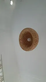Dianna Funk review photo
