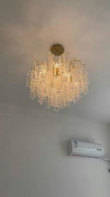 MReza review photo