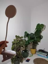 Eve review photo