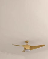Nael review photo