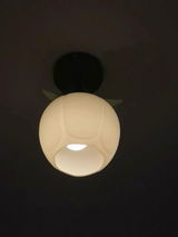 Jack review photo