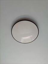 Max review photo