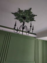 Ann review photo