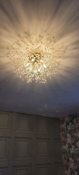 Angie Branker review photo