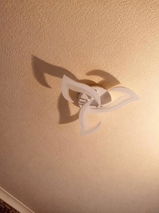 Fifi review photo