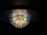Tammy Haarer review photo