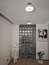 A.L. review photo
