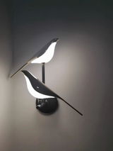 Jordan Martin review photo