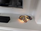Happy customer review photo