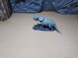 B.M. review photo