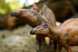 Dinosauria_Gallery review photo