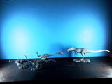 B.M. review photo