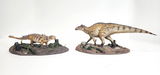 Idnar R Rojas review photo
