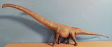 B.M. review photo