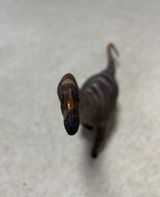 hoanglp review photo