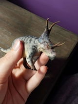 T.K. review photo
