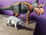 T.K. review photo