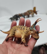 Idnar R Rojas review photo