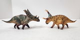 Idnar R Rojas review photo
