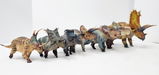 Idnar R Rojas review photo