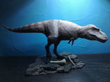 B.M. review photo