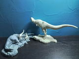 B.M. review photo