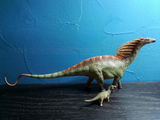B.M. review photo