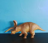B.M. review photo