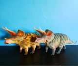 B.M. review photo