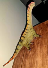 ING.HEYDI MOREIRA review photo